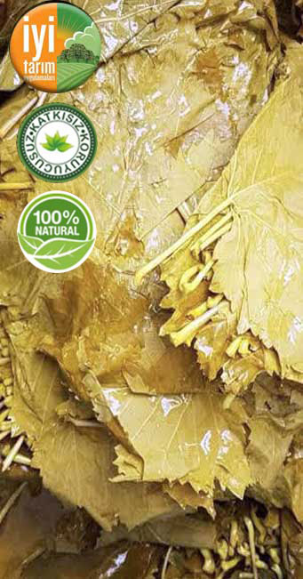 �EK�RDEKS�Z �Z�MDEN ASMA YAPRA�I