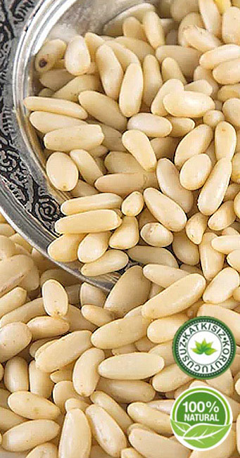 �AM FISTI�I DOLMALIK FISTIK