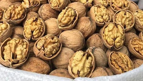 CEV�Z �NCE KABUKLU