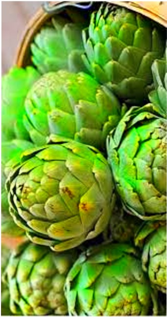 Enginar Gurme Konserve 660cc