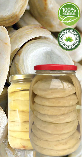 SOYULMU�  �ANAK  ENG�NAR KONSERVE