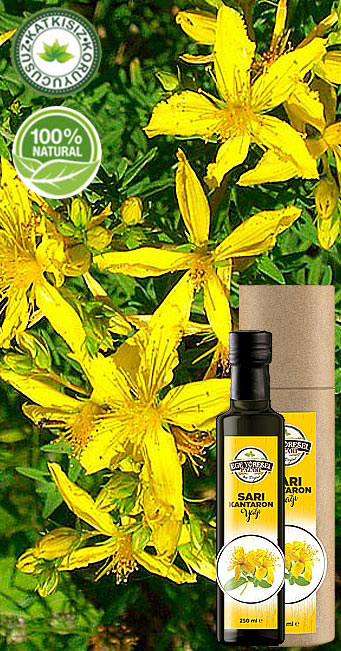 SARI KANTARON YA�I