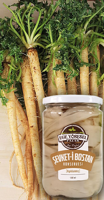 AYIKLANMI� �EVKET-� BOSTAN